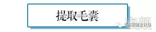 https://img.miyanlife.com/mnt/timg/181121/1221443a0-1.jpg