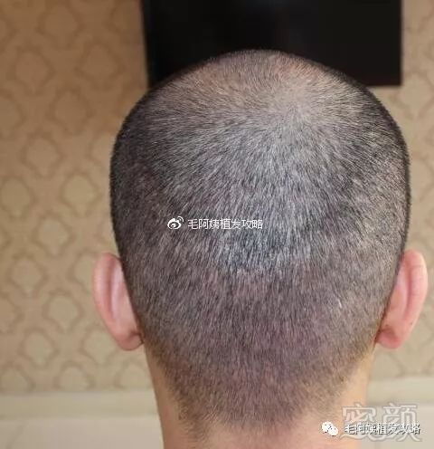 https://img.miyanlife.com/mnt/timg/181121/122144I05-5.jpg