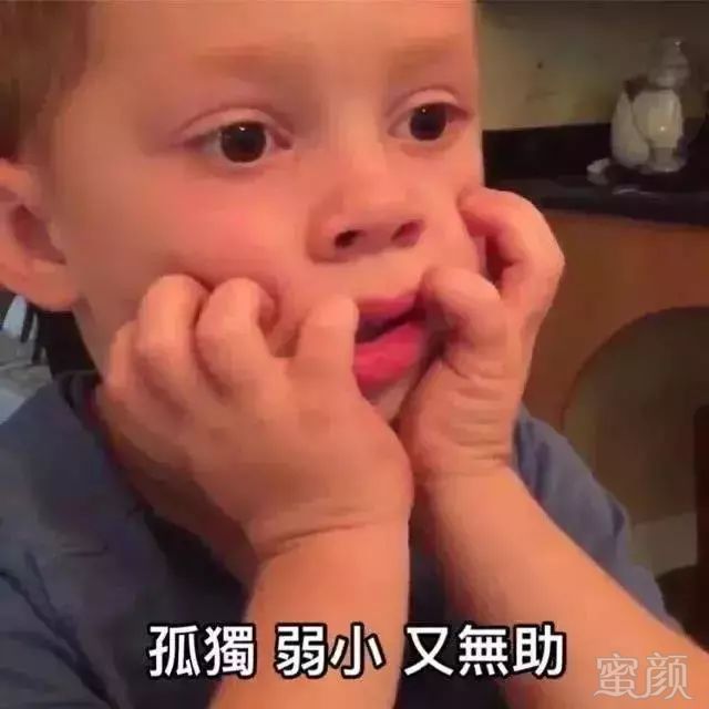 案例图片