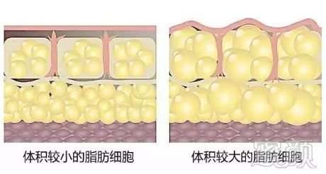 案例图片