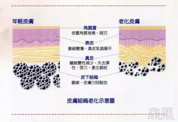 https://img.miyanlife.com/mnt/timg/181128/1212502143-1.jpg