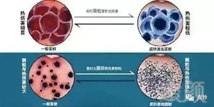 https://img.miyanlife.com/mnt/timg/181128/1233253107-9.jpg