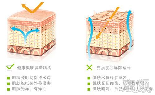 案例图片