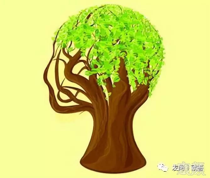 https://img.miyanlife.com/mnt/timg/181130/11512141G-4.jpg