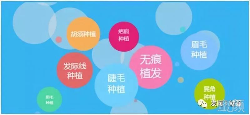 https://img.miyanlife.com/mnt/timg/181130/1151214O6-1.jpg