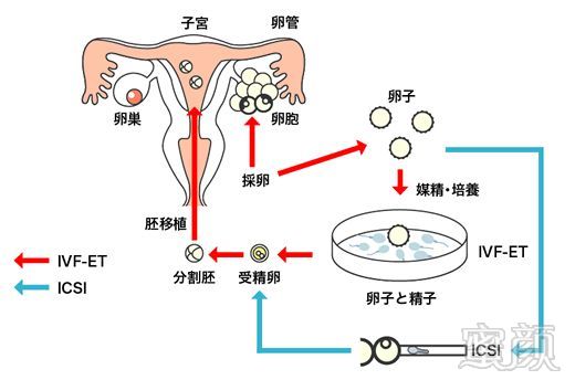 案例图片