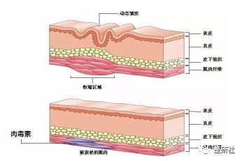 https://img.miyanlife.com/mnt/timg/181201/10521442G-6.jpg