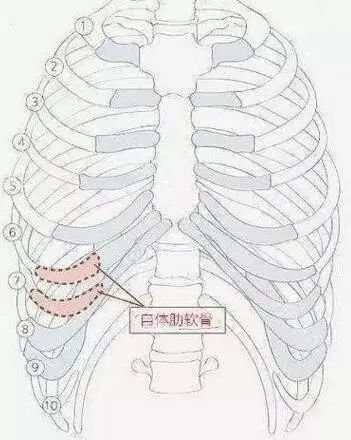 案例图片