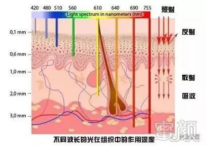 https://img.miyanlife.com/mnt/timg/181204/111KM564-1.jpg