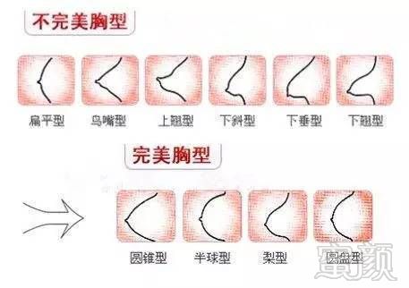 案例图片