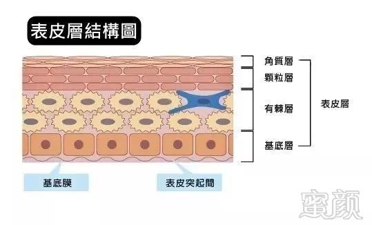 https://img.miyanlife.com/mnt/timg/181204/1204021310-1.jpg