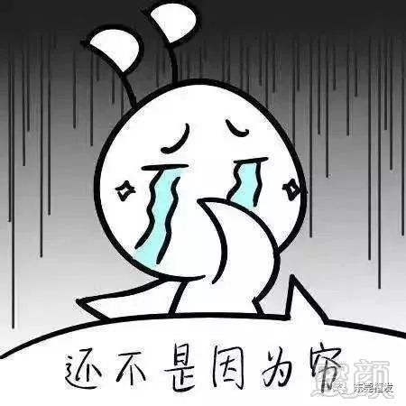 https://img.miyanlife.com/mnt/timg/181204/1206016313-2.jpg