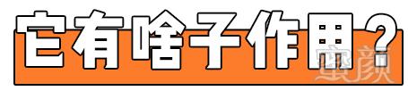 https://img.miyanlife.com/mnt/timg/181204/122AU413-3.jpg