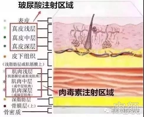 https://img.miyanlife.com/mnt/timg/181205/13112450C-4.jpg