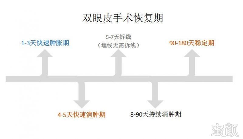 案例图片