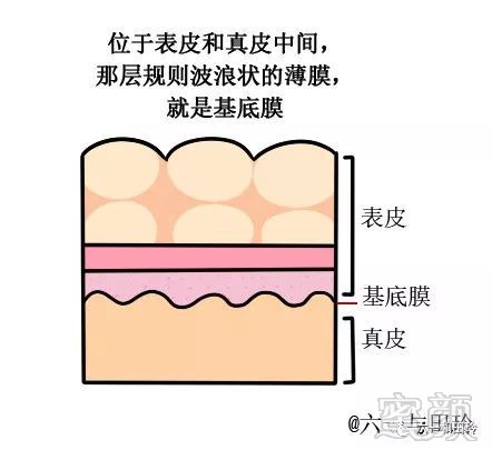 https://img.miyanlife.com/mnt/timg/181206/1255053401-2.jpg