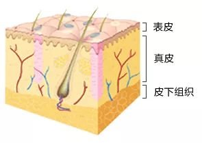 https://img.miyanlife.com/mnt/timg/181206/1255552519-1.jpg
