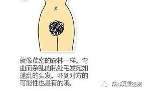 案例图片