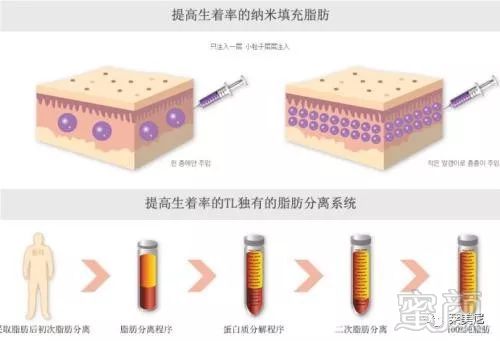 案例图片