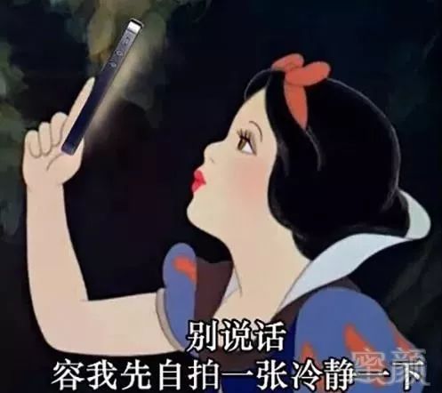 案例图片