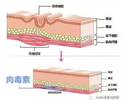 https://img.miyanlife.com/mnt/timg/181212/124011Jc-4.jpg