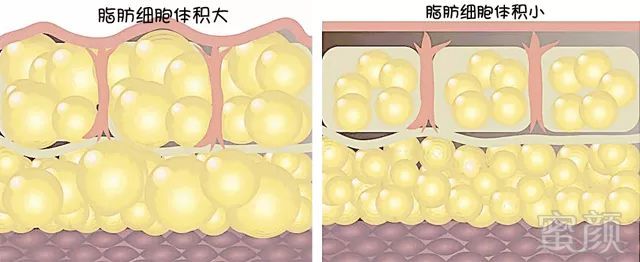 案例图片