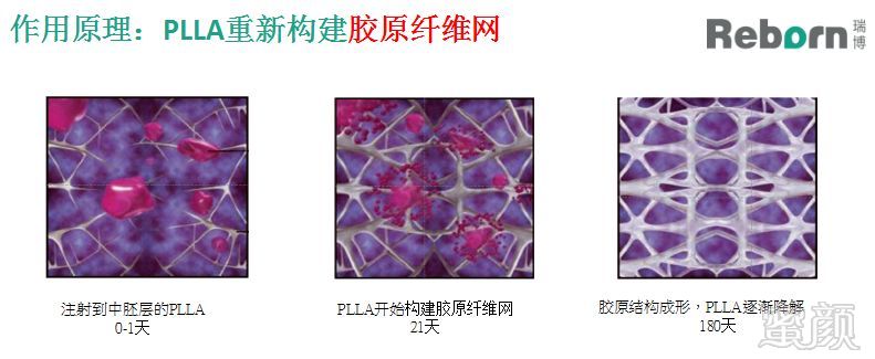 https://img.miyanlife.com/mnt/timg/181214/10543TD9-2.jpg
