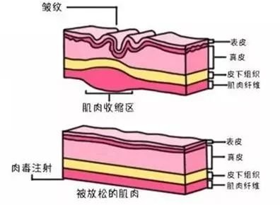 案例图片