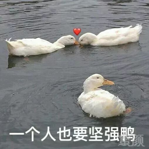 案例图片