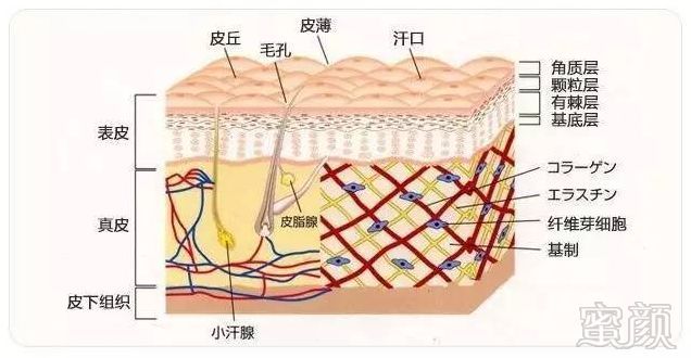 https://img.miyanlife.com/mnt/timg/181214/114959AY-1.jpg