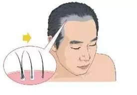 https://img.miyanlife.com/mnt/timg/181214/12234JU9-8.jpg