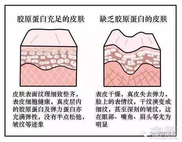 https://img.miyanlife.com/mnt/timg/181214/130452GM-7.jpg