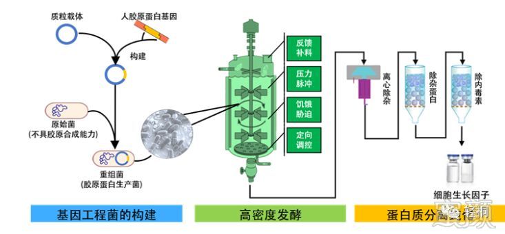 案例图片