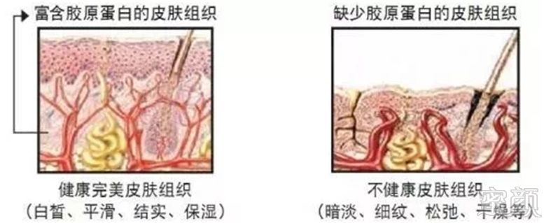 案例图片