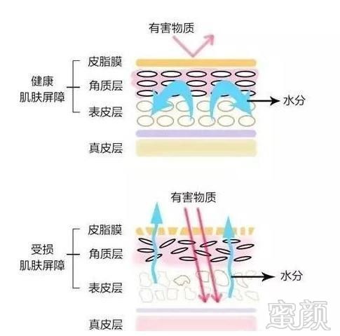 案例图片