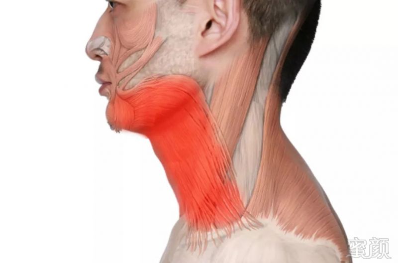 https://img.miyanlife.com/mnt/timg/181217/1204261193-1.jpg
