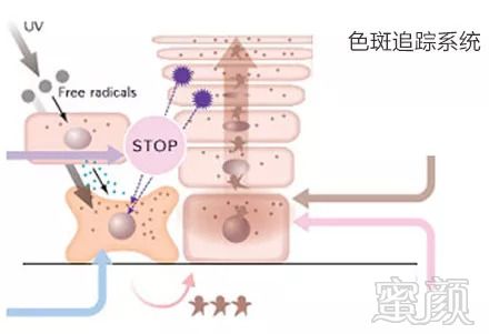 案例图片