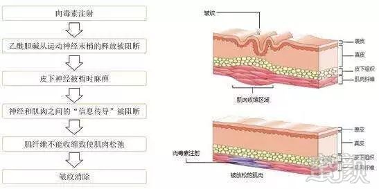 https://img.miyanlife.com/mnt/timg/181220/10453K2C-0.jpg