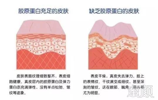 https://img.miyanlife.com/mnt/timg/181220/12094VO5-4.jpg