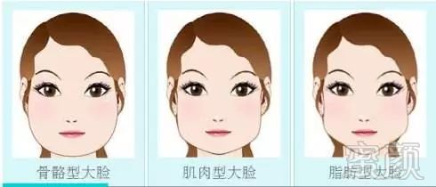 https://img.miyanlife.com/mnt/timg/181221/1310595Y1-1.jpg