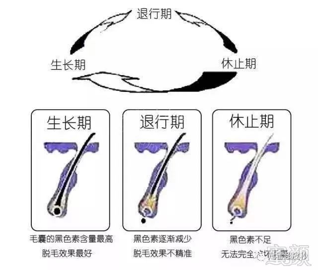 https://img.miyanlife.com/mnt/timg/181223/11103VY8-2.jpg