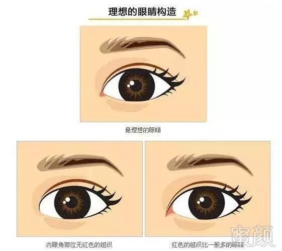 https://img.miyanlife.com/mnt/timg/181224/12420025V-3.jpg