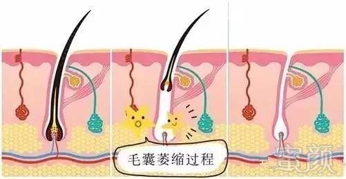 https://img.miyanlife.com/mnt/timg/181225/12202150R-10.jpg