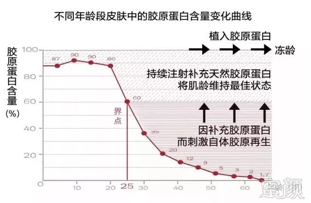 案例图片