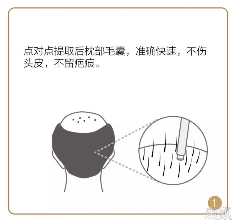 https://img.miyanlife.com/mnt/timg/181225/12514434D-5.jpg