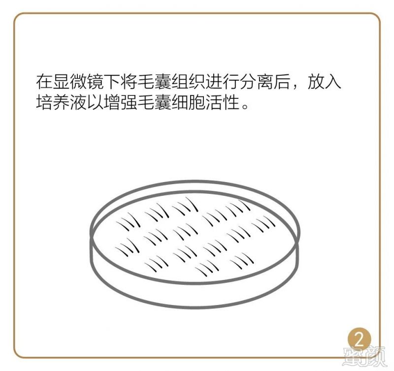 https://img.miyanlife.com/mnt/timg/181225/1251445919-6.jpg