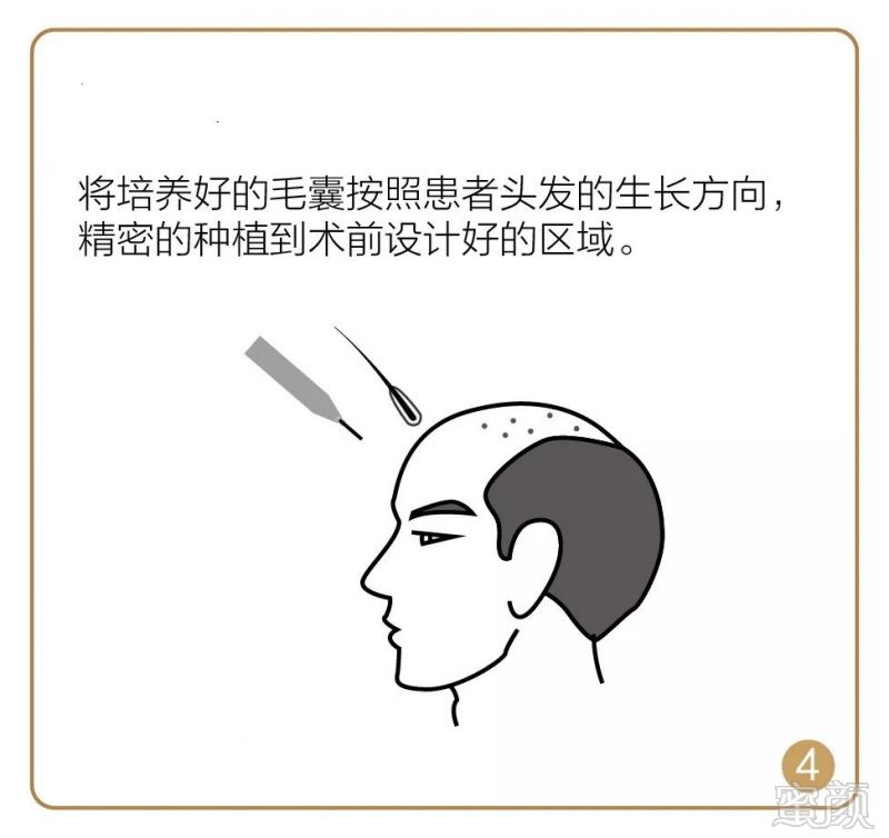https://img.miyanlife.com/mnt/timg/181225/1251453134-8.jpg