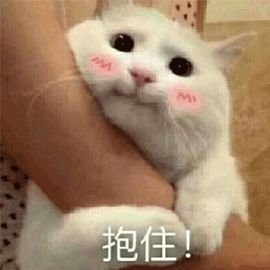 https://img.miyanlife.com/mnt/timg/181225/12551S0B-0.jpg