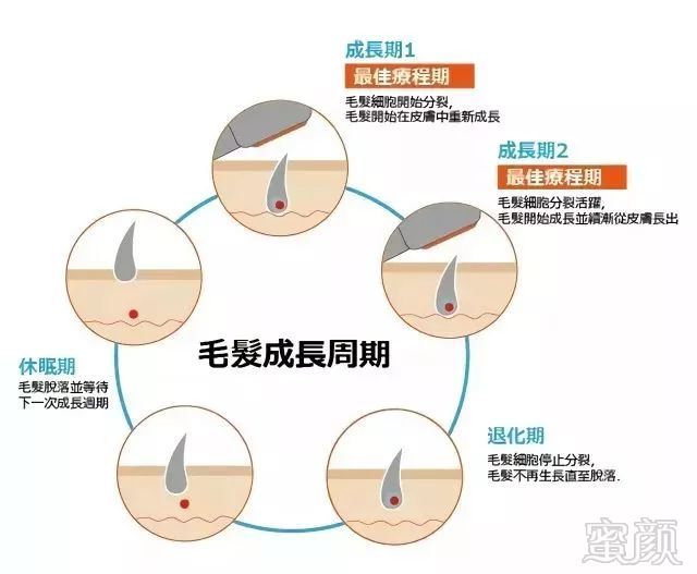 https://img.miyanlife.com/mnt/timg/181225/1339512152-3.jpg