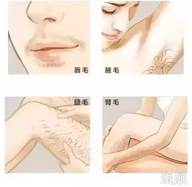 https://img.miyanlife.com/mnt/timg/181225/13395140A-0.jpg